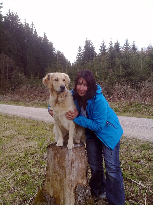 Bilder von den Golden Retriever vom Limes  copyright (c) 2011.