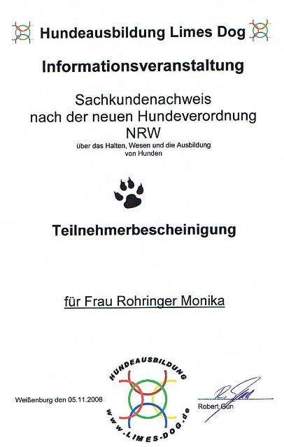 Bilder von den Golden Retriever vom Limes  copyright (c) 2011.
