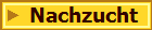 Nachzucht