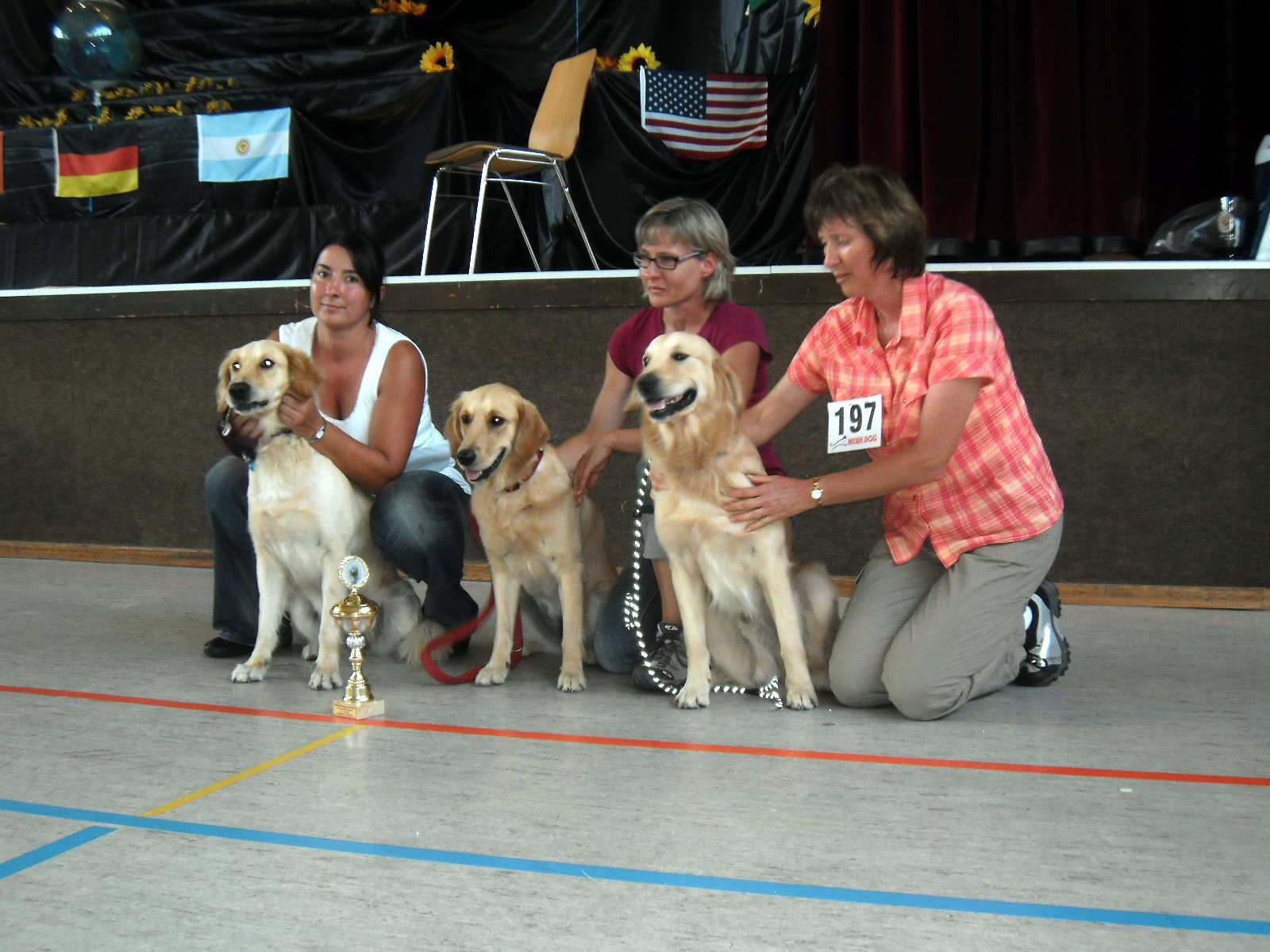 Bilder von den Golden Retriever vom Limes  copyright (c) 2011.